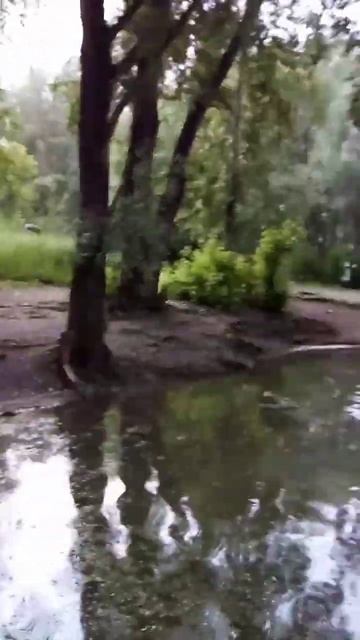 #nature #mycity #housenlands #riverplate