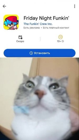 хз чо писать