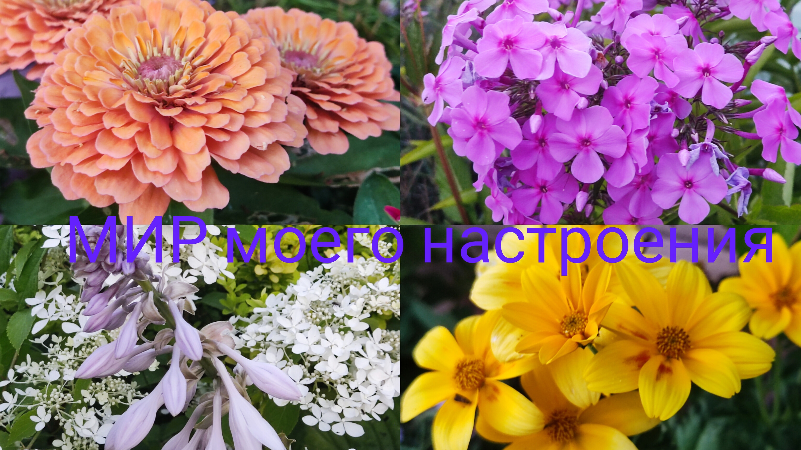 27.07.25 Дача.Покосила,поработала с цветами,пора домой. смотреть онлайн