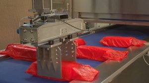 Автомат для упаковки блоков сыра в пленку рукав и автоматический конвейерный вакуумный упаковщик