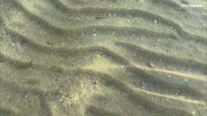 Крым Евпатория пляж Робинзон сегодня 28 июля 2025. Море и погода в Крыму сейчас. Обстановка на пляже