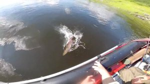 И вновь классная рыбалка! Река Северная и её притоки. Часть вторая.