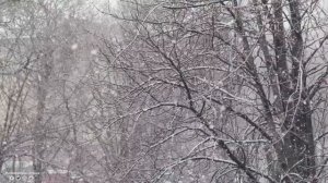 Волшебная музыка зимы. Падал снег! Одна из самых красивых,волшебных зимних мелодий! ЗИМА,СНЕГ.ЛЮБОВЬ