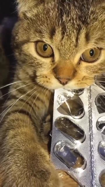 Когда закончились таблетки от агрессии смотреть онлайн