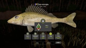 Русская рыбалка 4 - Вечерние посиделки. Закрыли Вьюнок! РР4.