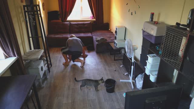 Уборка у кошек и сбор урожая Читаю комментарии зрителей и отвечаю на вопросы смотреть онлайн