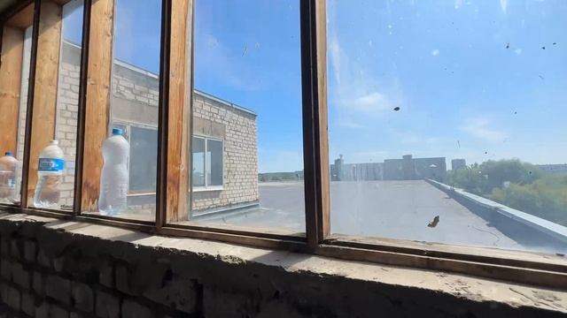 Воскресенская смотреть онлайн