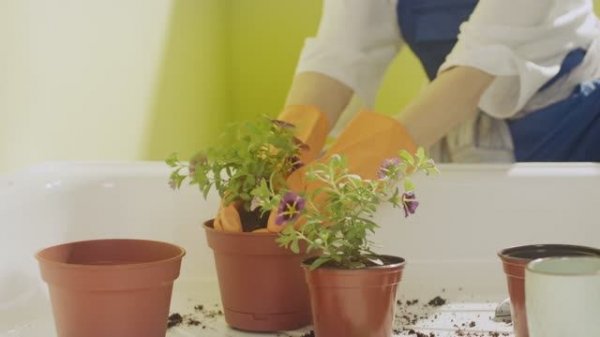 Рекламный ролик Antika