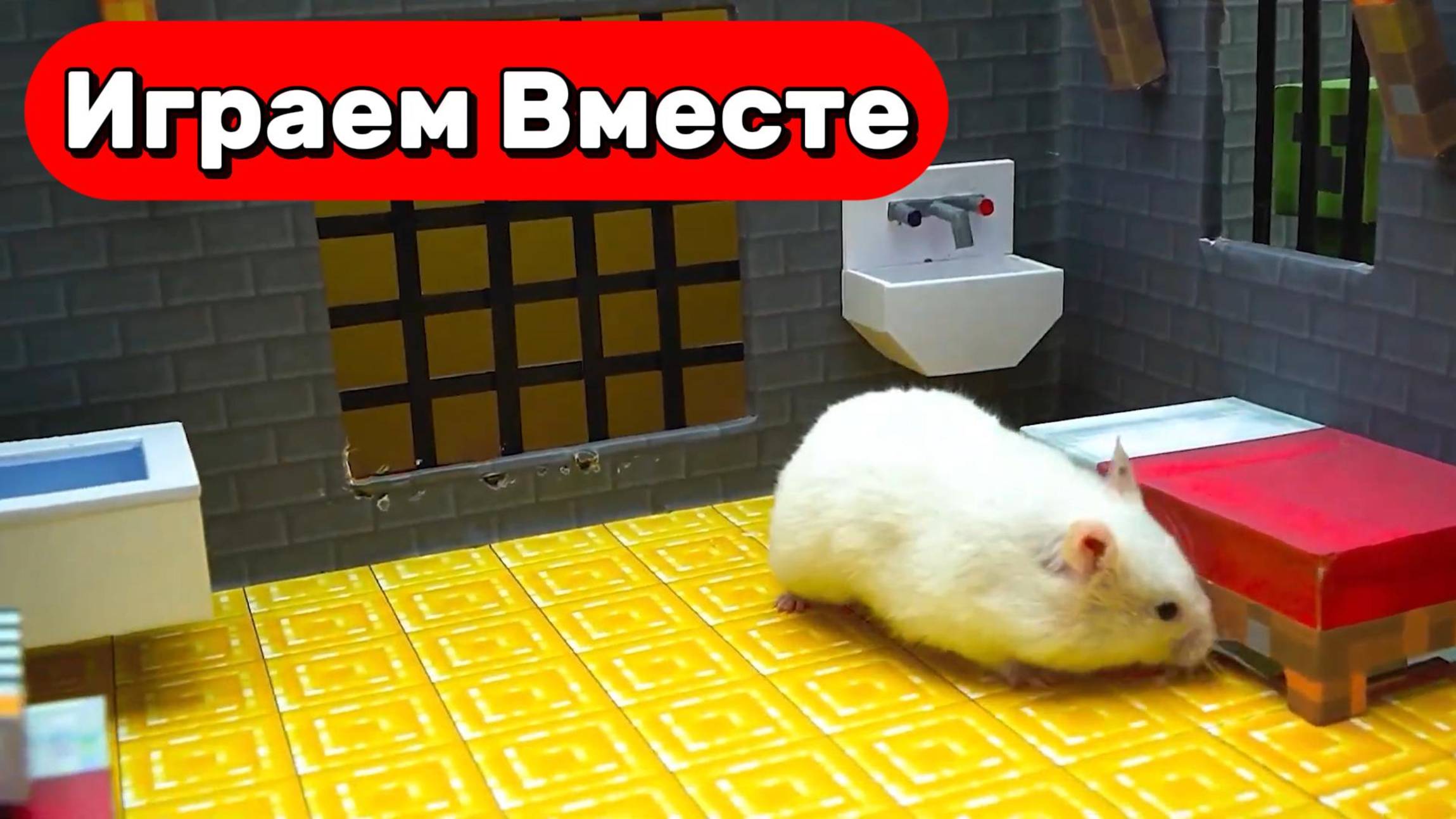 СЕКРЕТНАЯ ТЮРЬМА С ЛОВУШКАМИ ДЛЯ УМНОГО ХОМЯК 🐹🐹 ВИДЕО ДЛЯ ДЕТЕЙ смотреть онлайн