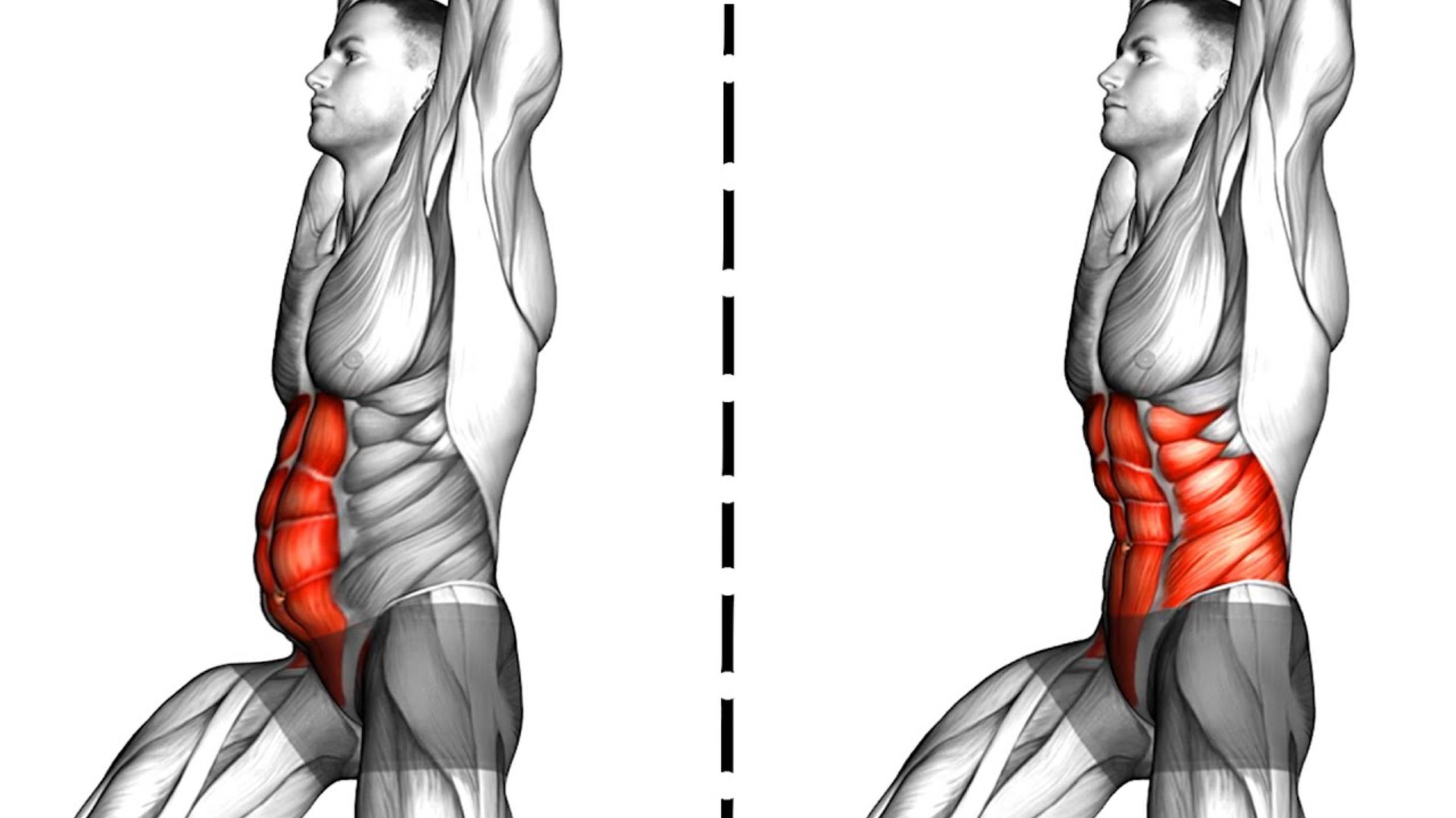 Упражнения на Пресс без Оборудования смотреть онлайн