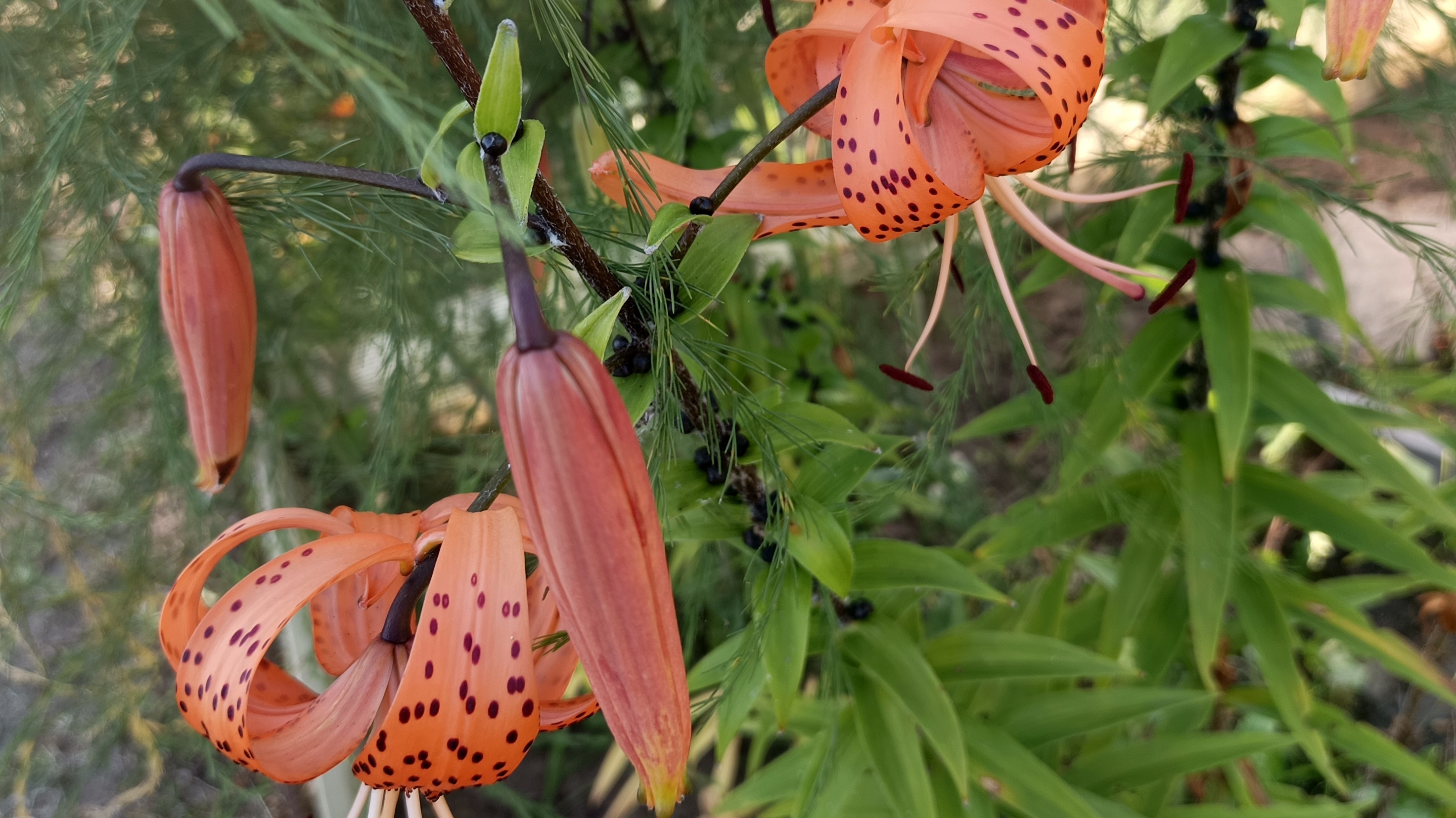 28-07-2025💐Влог💐понедельник смотреть онлайн