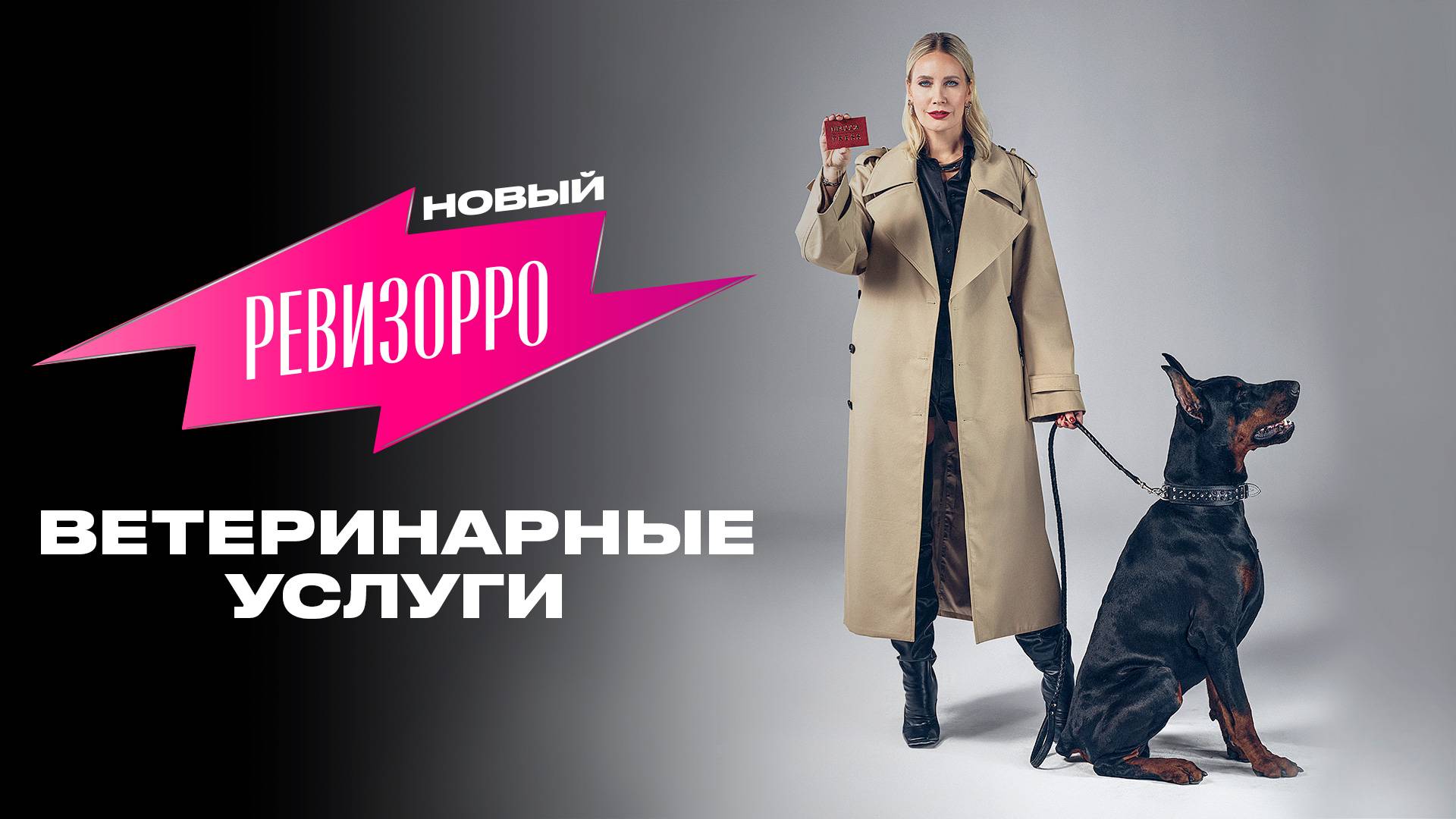 Новый Ревизорро: ветеринарные услуги смотреть онлайн