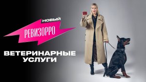 Новый Ревизорро: ветеринарные услуги