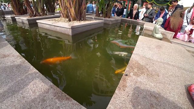 Центрее не бывает смотреть онлайн