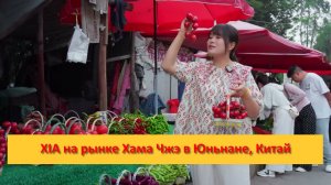 XIA вошла на рынок Хама Чжэ в Юньнане