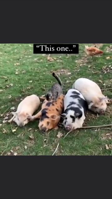 Тут помягче смотреть онлайн