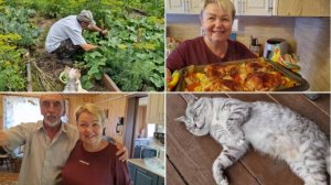 ГОТОВЛЮ КУРОЧКУ С ОВОЩАМИ, СОБИРАЕМ ОГУРЦЫ, ПРОБУЕМ ГОЛУБИКУ.