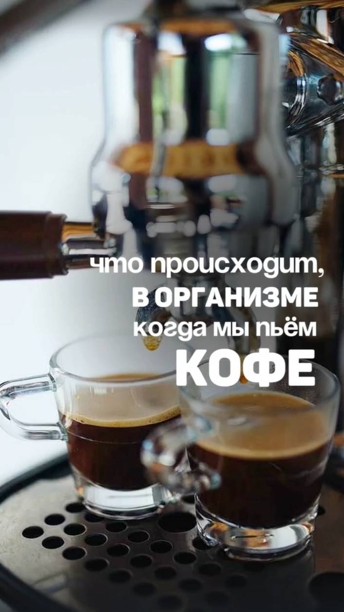 Что происходит в организме, когда мы пьём кофе? смотреть онлайн