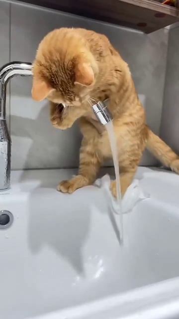 Первый день работы сантехником смотреть онлайн