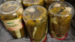 Огурцы в автоклаве