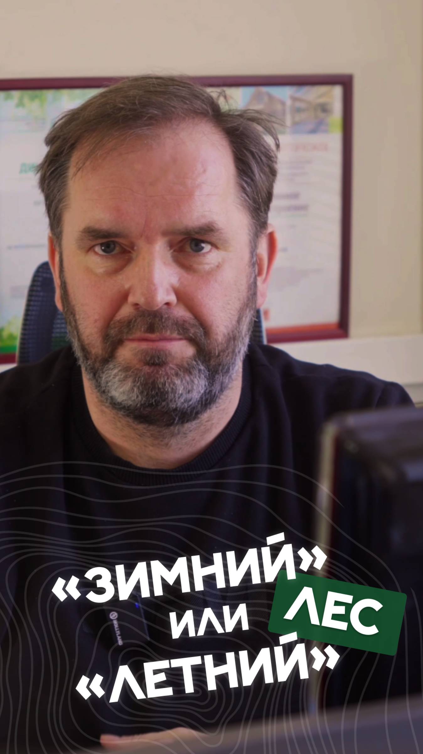 Ответы на вопросы. Какой лес лучше — «зимний» или «летний»? смотреть онлайн