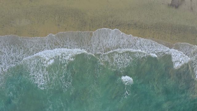 The harmony of water and the beauty of nature. смотреть онлайн