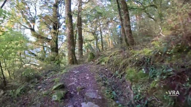 Blue Pools Scenery New Zealand Virtual Running Video For Treadmill