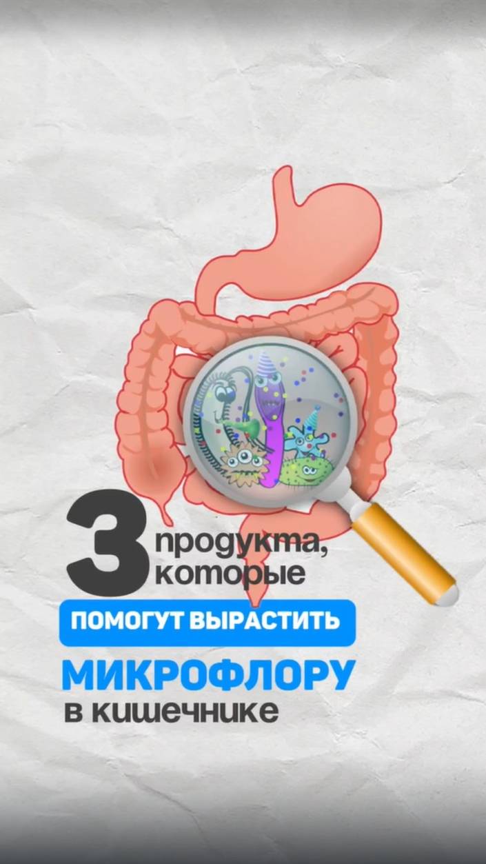 3 продукта, которые помогут вырастить микрофлору. Алена Братишко смотреть онлайн