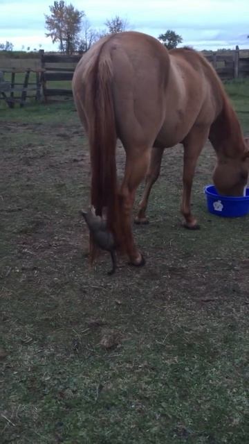 Рисково смотреть онлайн