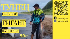 Тунец. Сахалинский голубой гигант на крючке!
