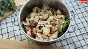 Шампиньоны, маринованные в домашних условиях - отличный вариант для оригинальной закуски.