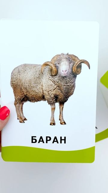 Домашние Животные На Карточках Домана 🐔🐴 Учим Первые Слова смотреть онлайн