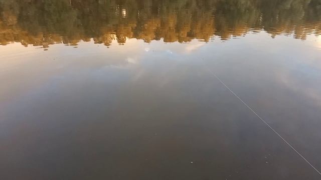 Река Обь протока 26 июля. Рыбалка на донки и поплавочную удочку. смотреть онлайн