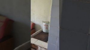 1000085442.mp4александр