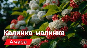Звуки для соседей - калинка-малинка (ВНИМАНИЕ! Громко)