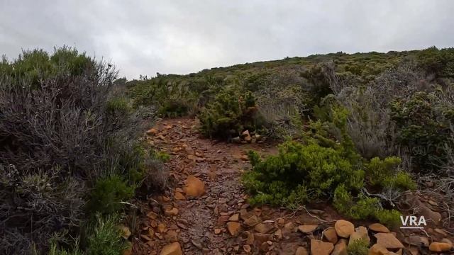 Running Video For Treadmill