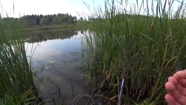 Ловля на поплавочную удочку смотреть онлайн