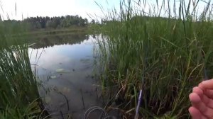 Ловля на поплавочную удочку