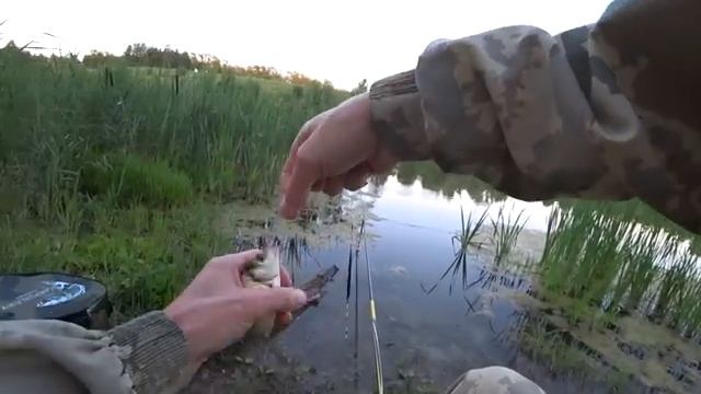 Рыбалка на маховую удочку смотреть онлайн