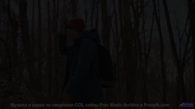 Видео, которое нельзя смотреть без нейроимплантов - или можно - Beetles -- Ketsa -- Metaphysics