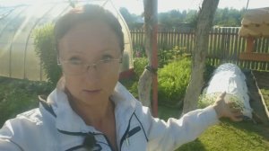 Видео привет с 6 соток 26 июля 2025 года