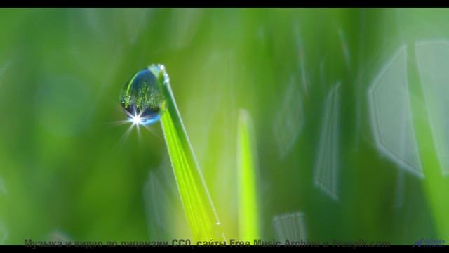 Посмотри это видео и поймёшь, как природа и музыка становятся одним целым - LAvish -- SUPERARE -- II