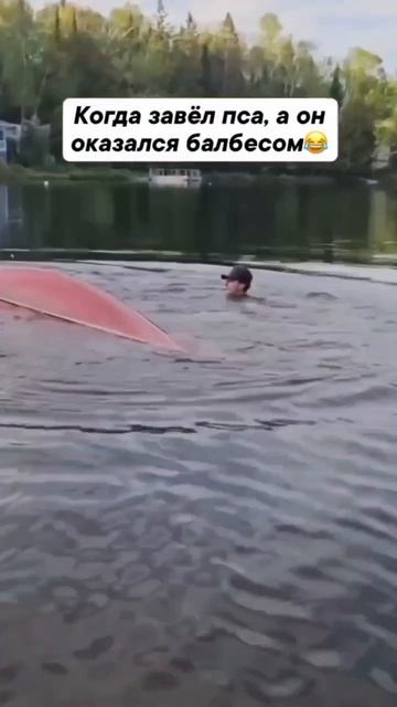 балбесики😁😆😅 смотреть онлайн