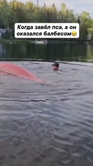 балбесики😁😆😅