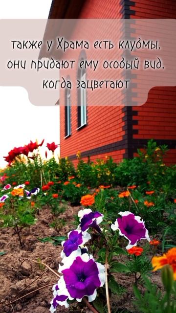 Куда сходить в деревне?