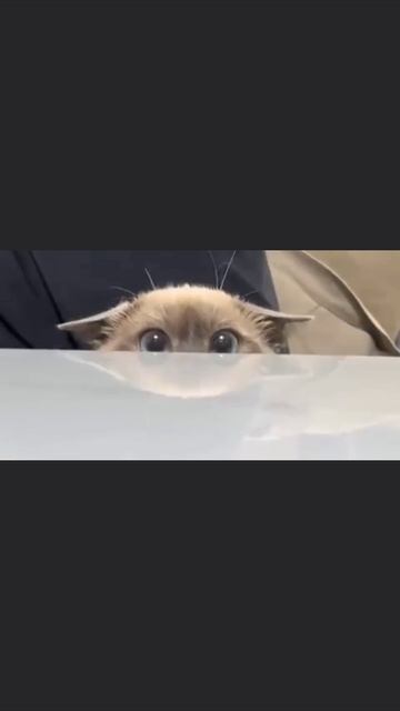 Его не видно смотреть онлайн