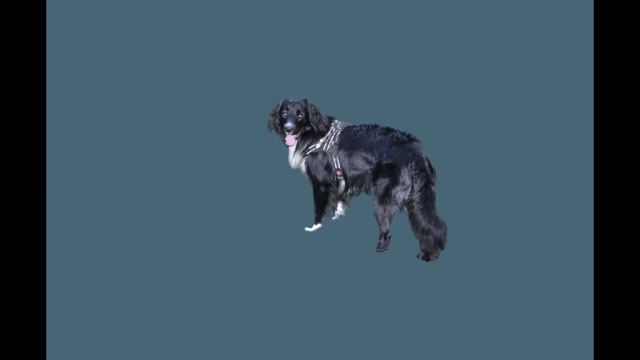 Эх Шарик смотреть онлайн