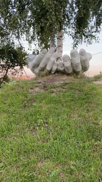 Руки держат берёзы. #Фёдоровское. Ленинградская обл. Июль 2025