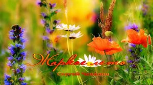 Сергей Чекалин - ЖАРКОЕ ЛЕТО… Музыка, которая дарит радость, тепло и покой!