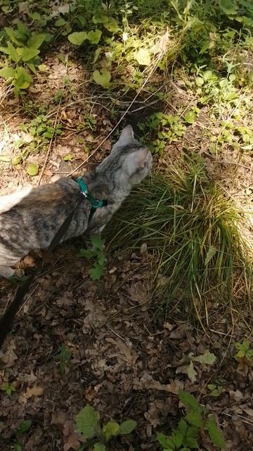 VID_20250716_112334.mp4 смотреть онлайн